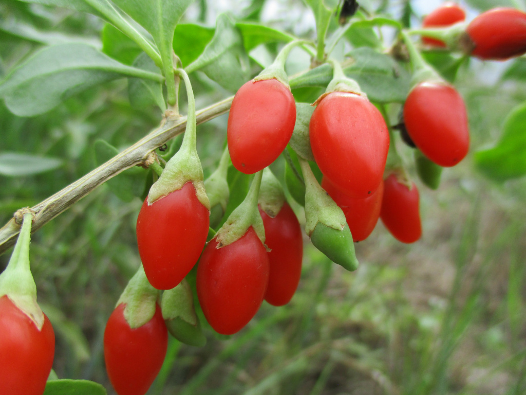 Превью изображения