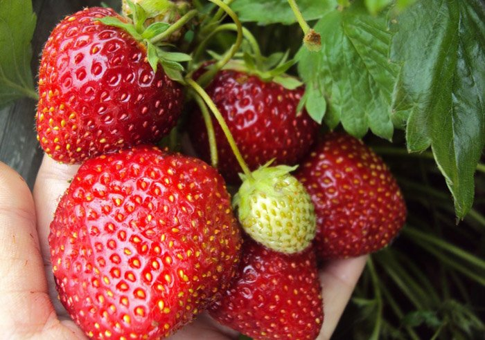 Превью изображения