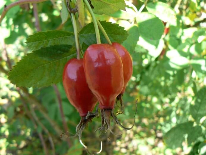 Превью изображения