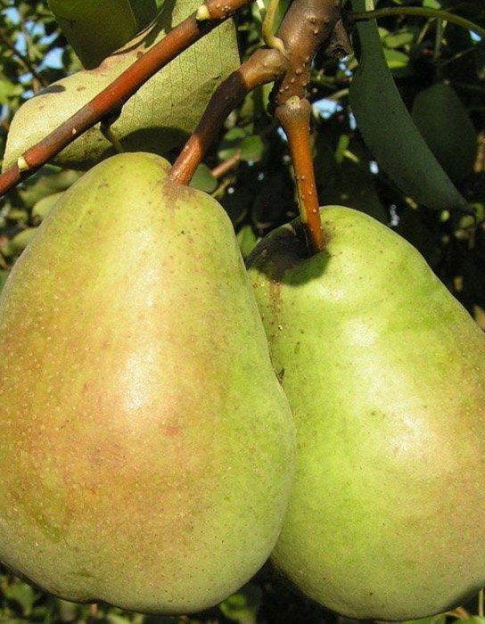 Превью изображения