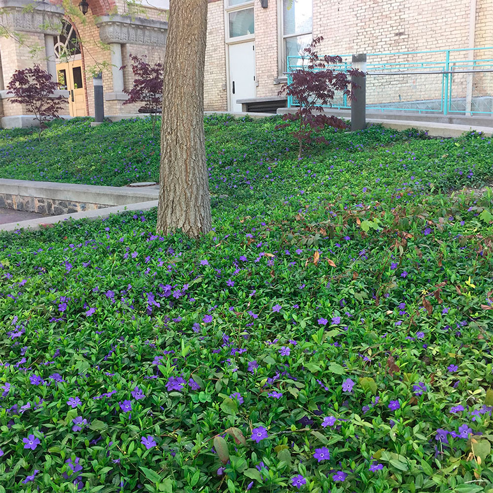 Превью изображения