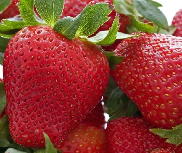 Превью изображения