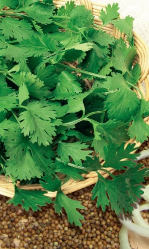 Превью изображения