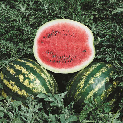 Превью изображения