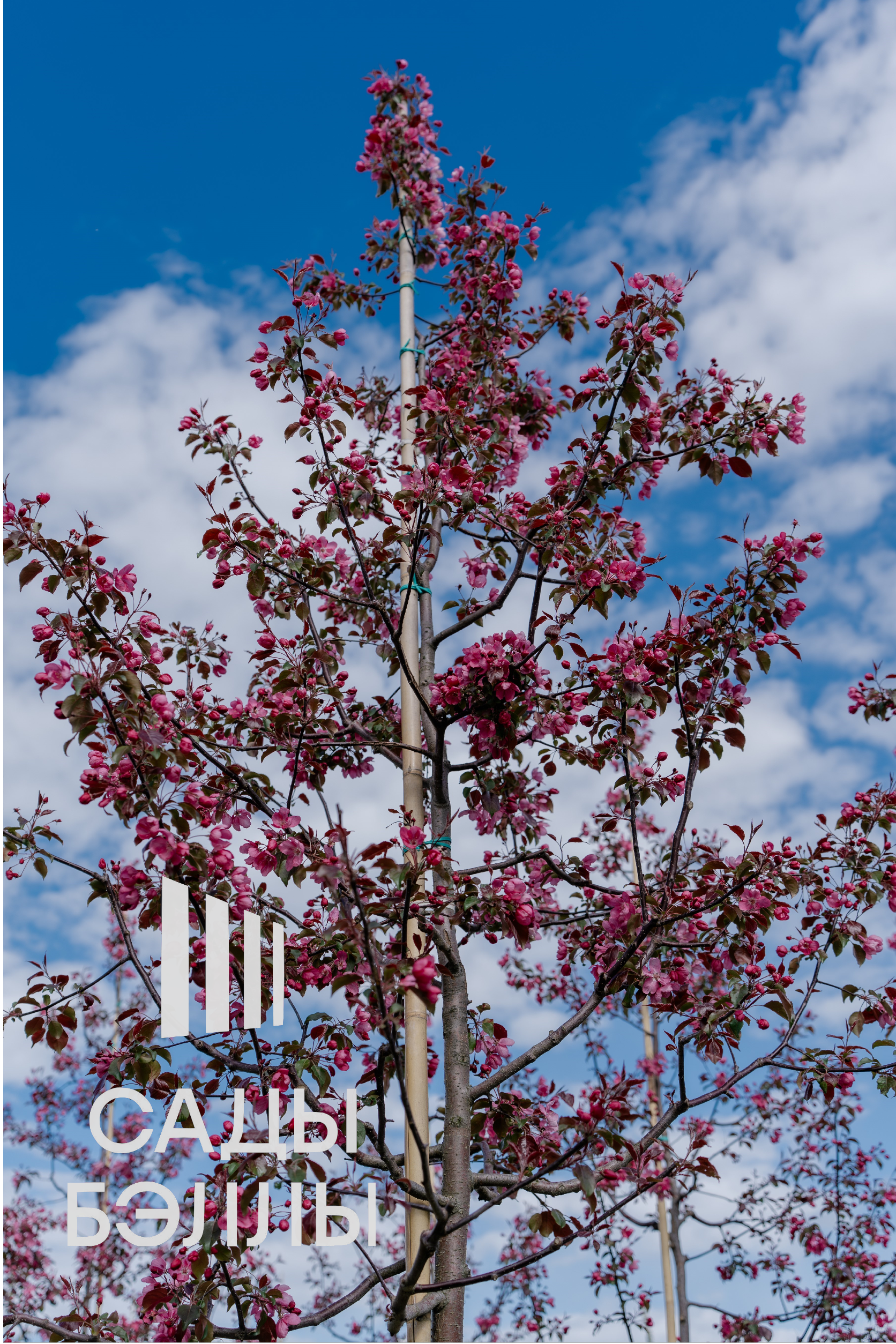 Превью изображения