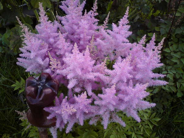 Превью изображения