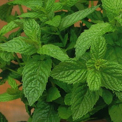 Превью изображения