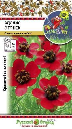 Превью изображения