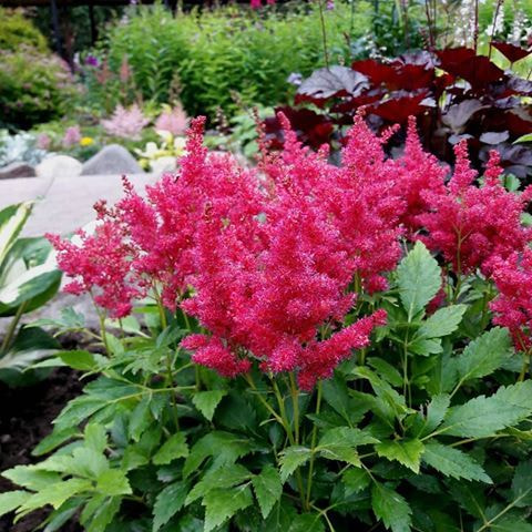 Превью изображения