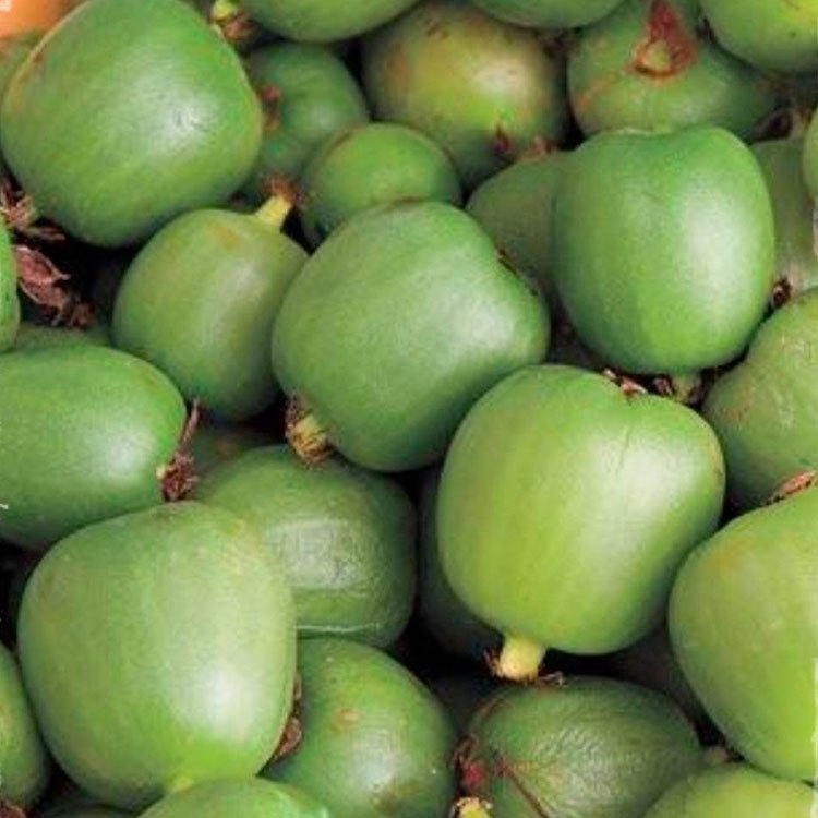 Превью изображения