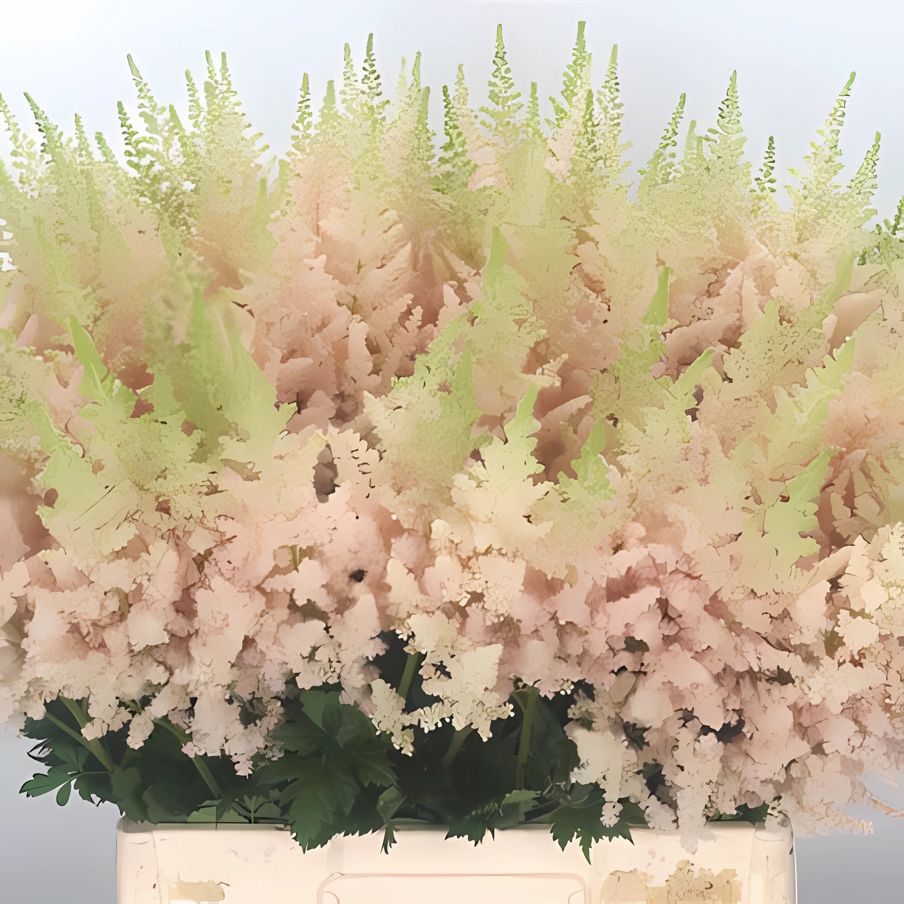 Превью изображения