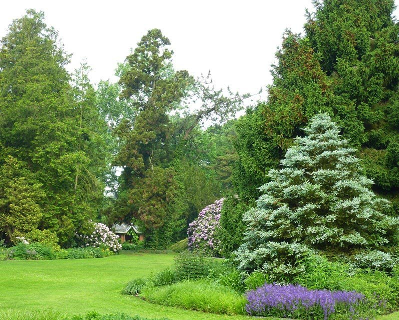 Превью изображения