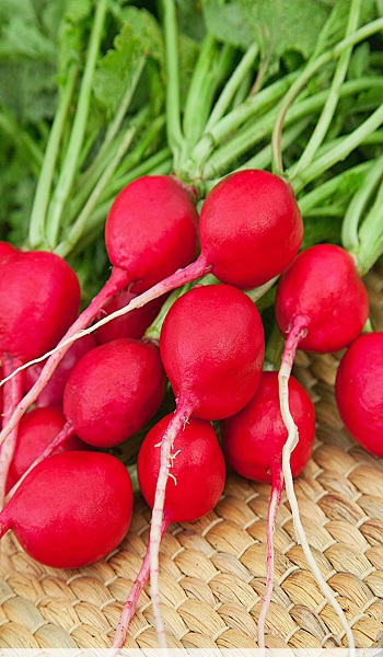 Превью изображения