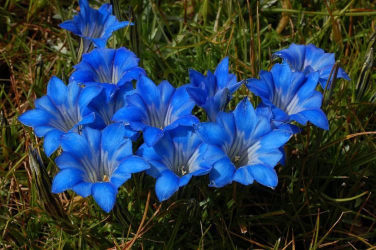 Превью изображения