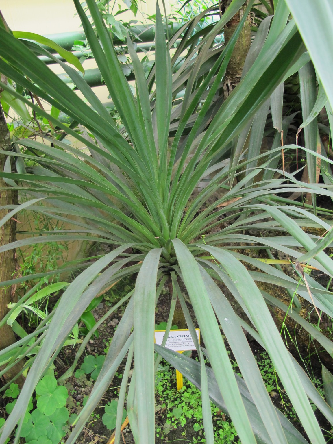 Превью изображения