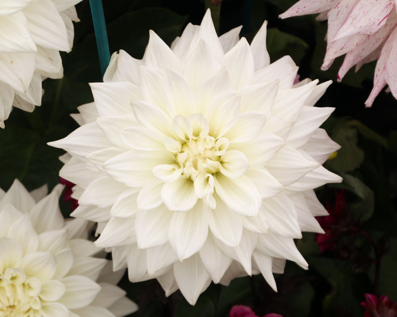 Превью изображения