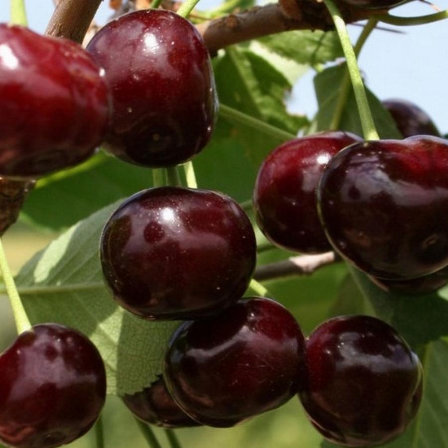 Превью изображения