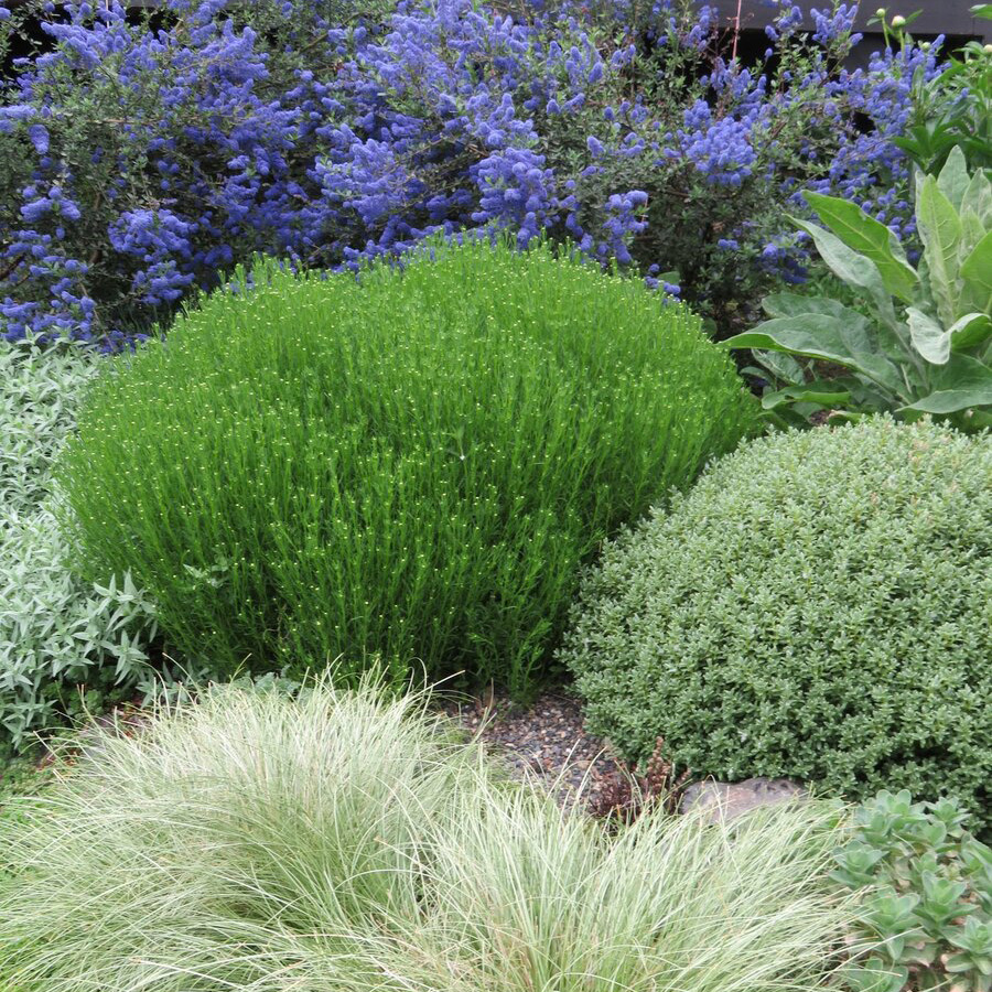 Превью изображения