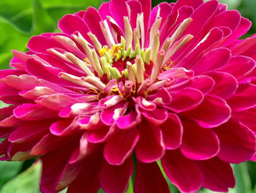 Превью изображения