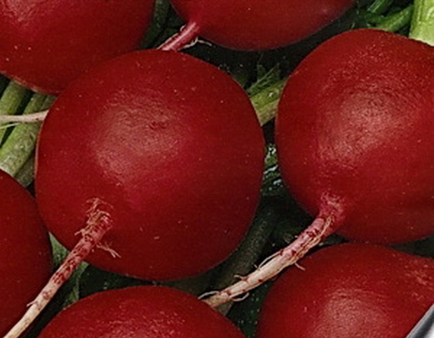 Превью изображения