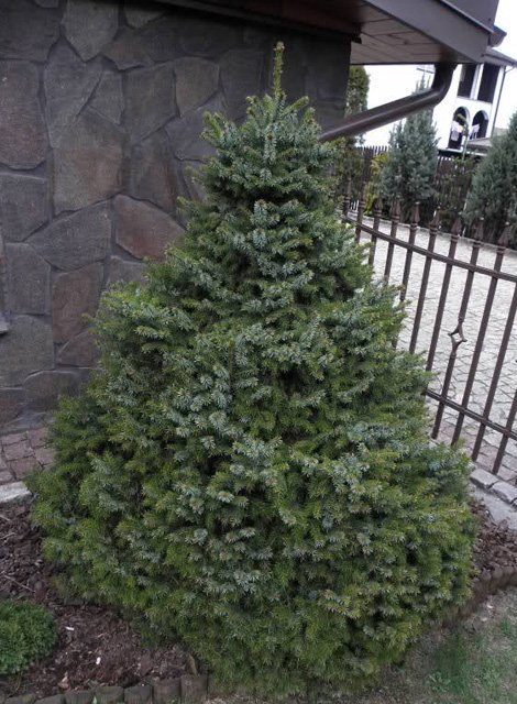 Превью изображения