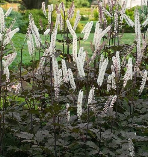 Превью изображения