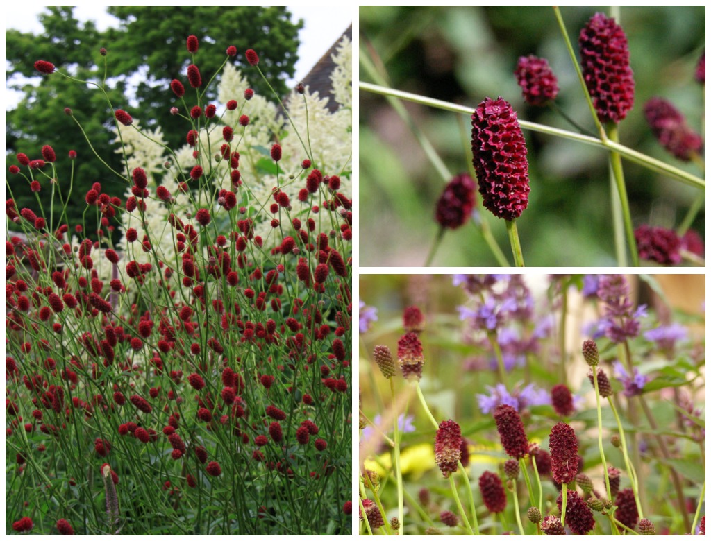 Превью изображения