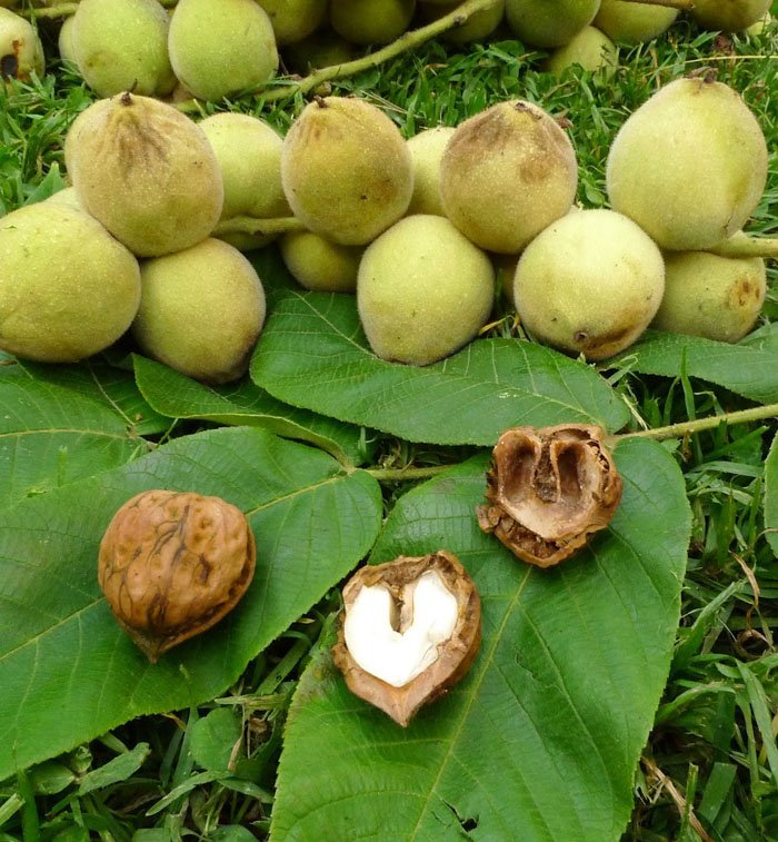 Превью изображения