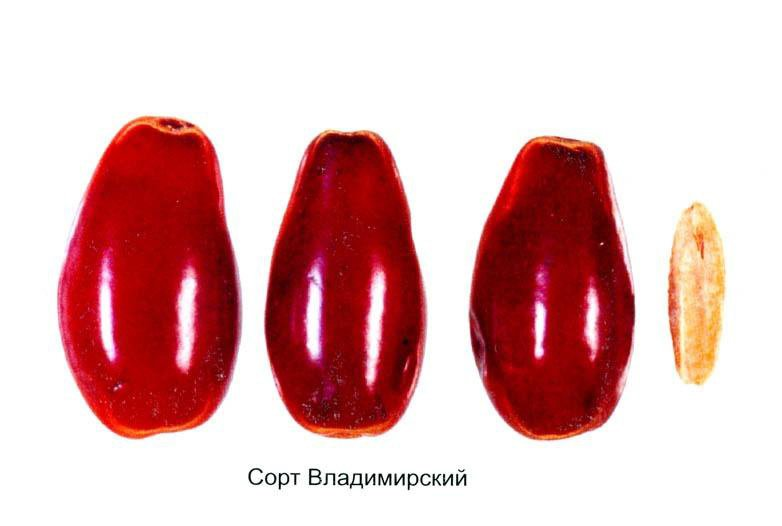 Превью изображения