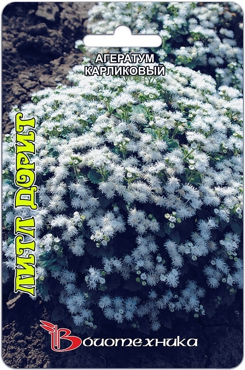 Превью изображения