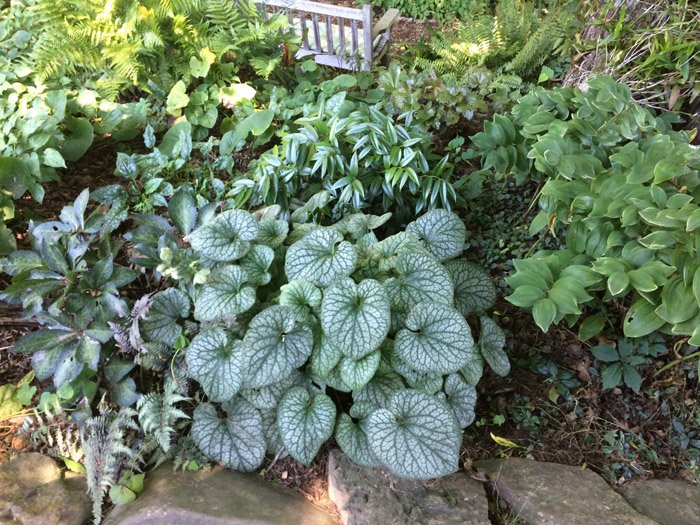 Превью изображения