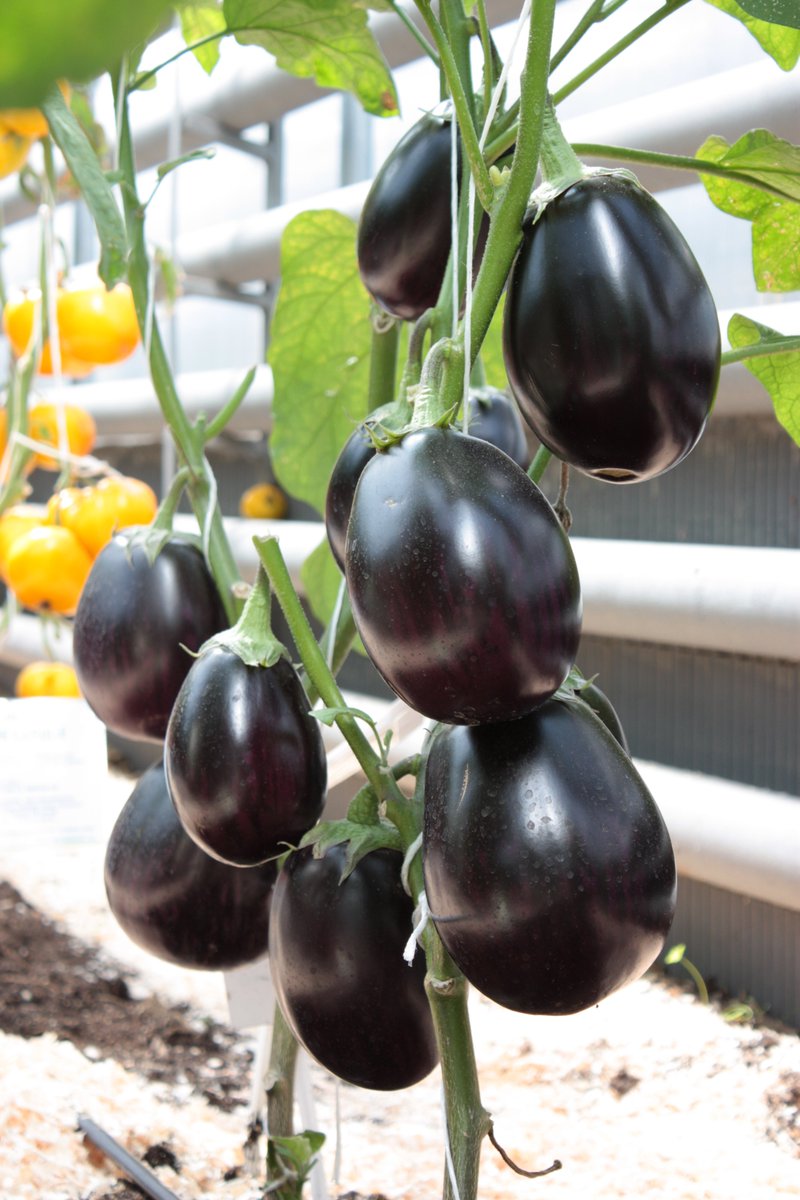 Превью изображения