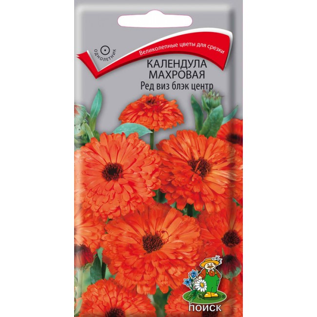 Превью изображения