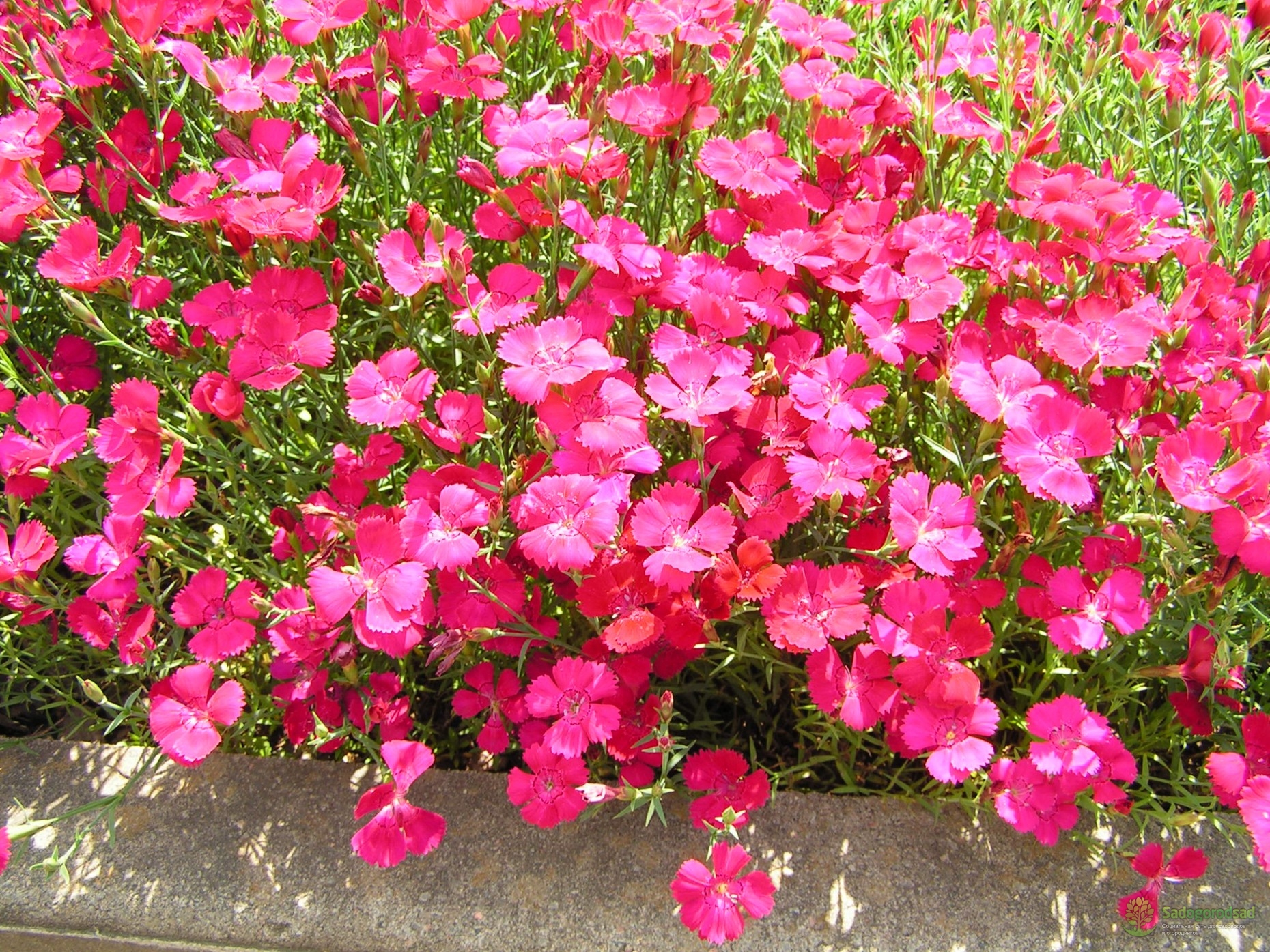 Превью изображения