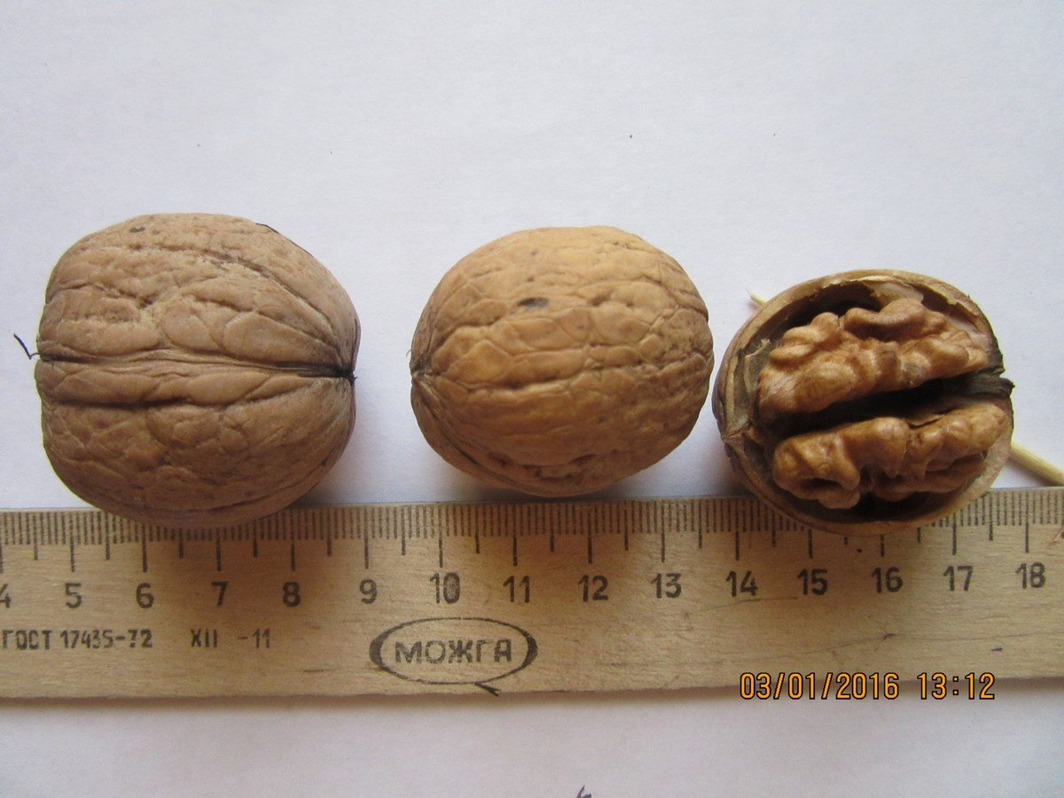 Превью изображения