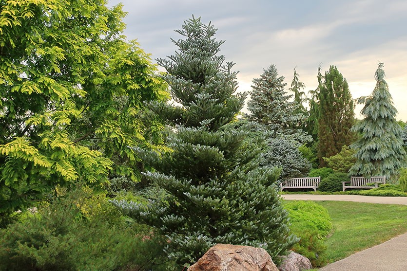 Превью изображения