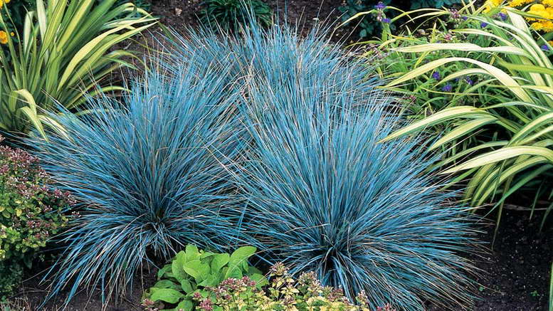 Превью изображения