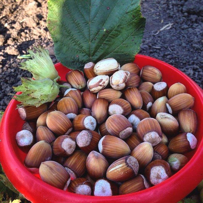 Превью изображения