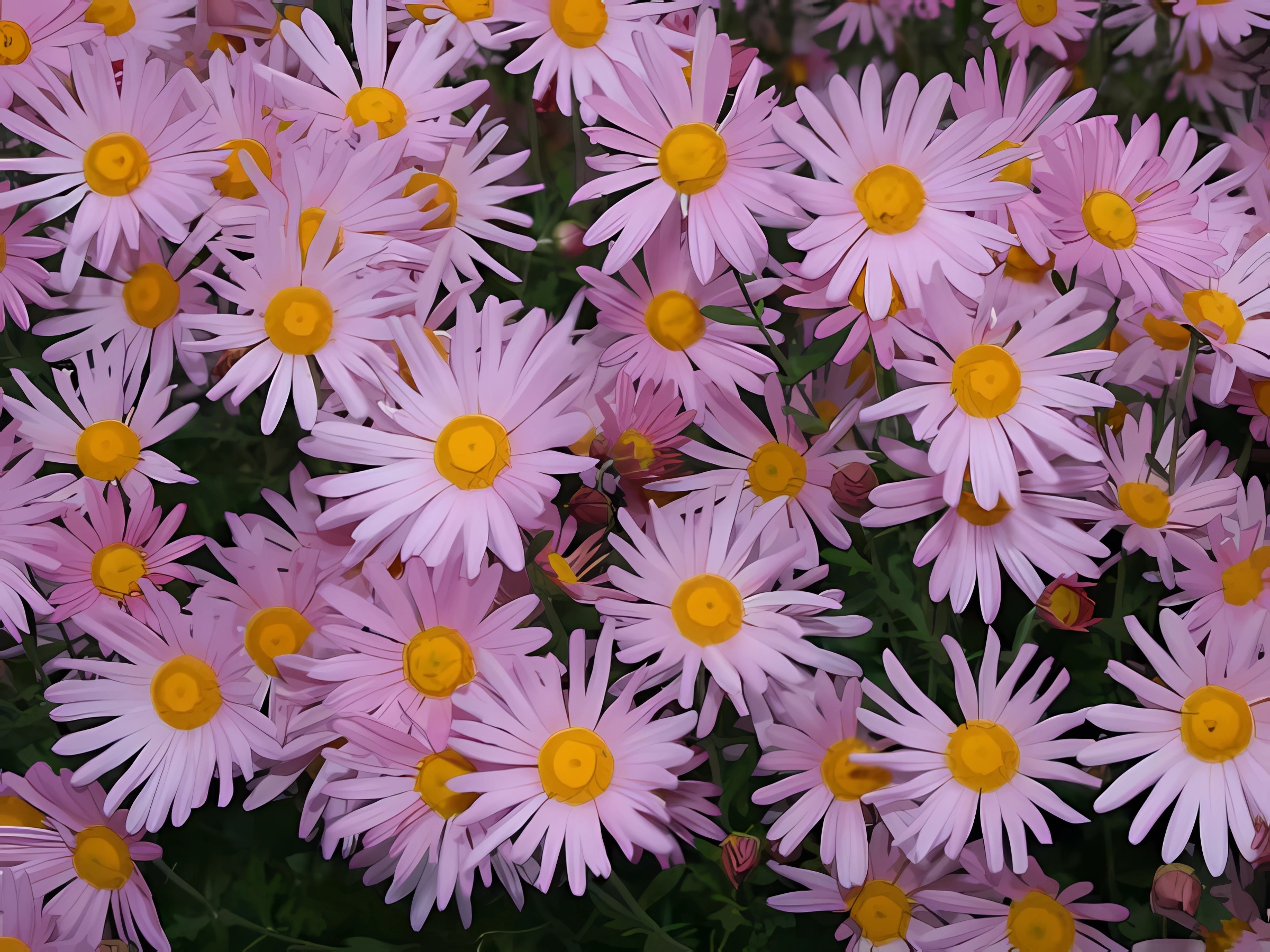 Превью изображения