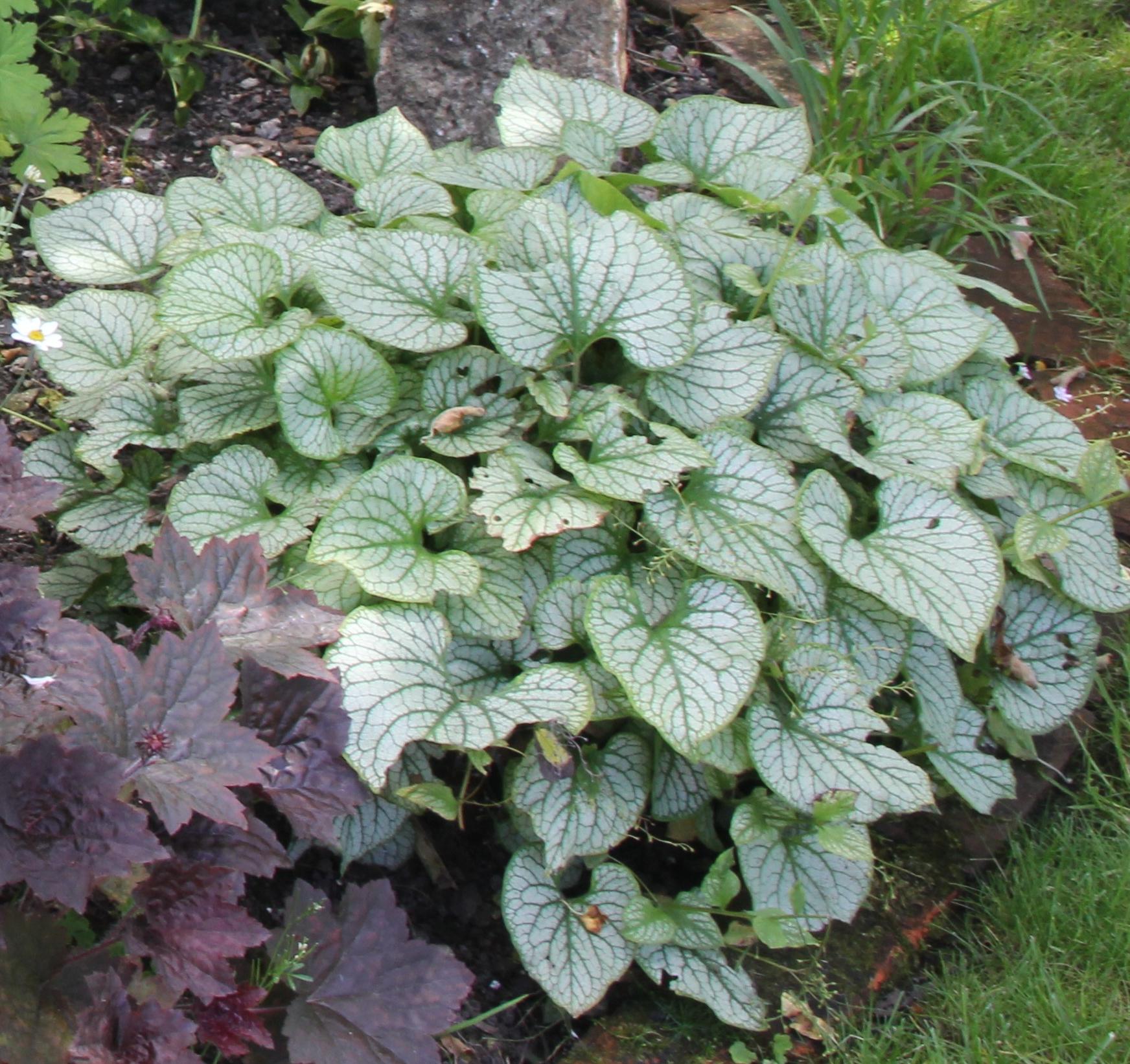 Превью изображения