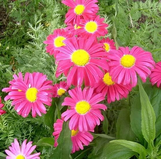 Превью изображения