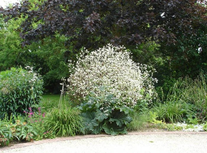 Превью изображения