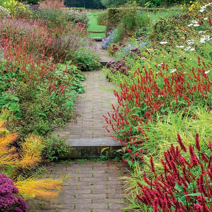 Превью изображения