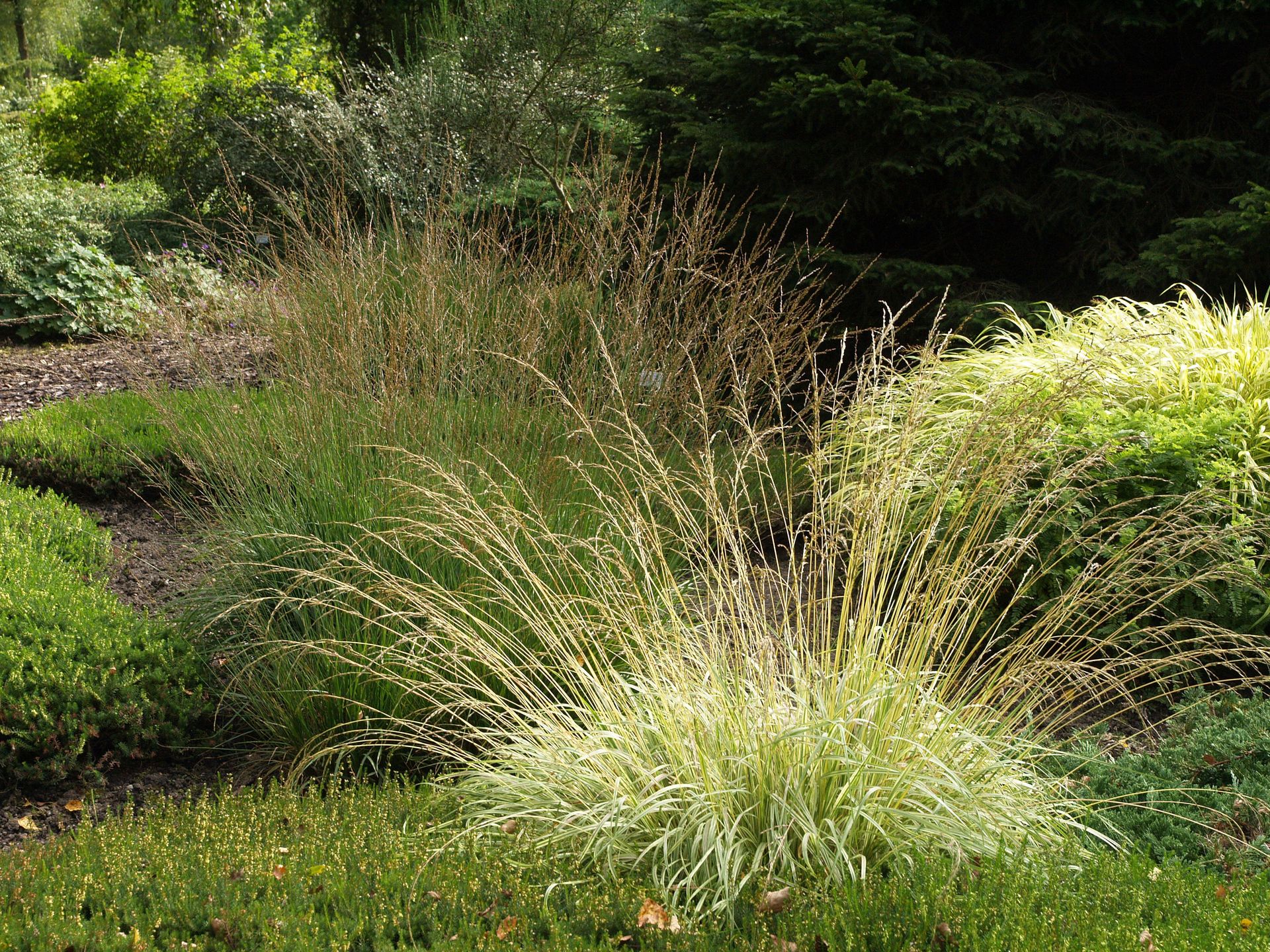 Превью изображения