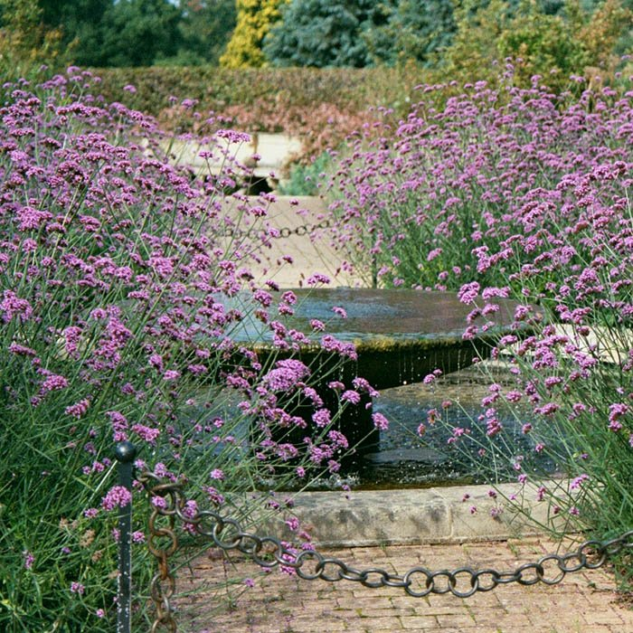 Превью изображения