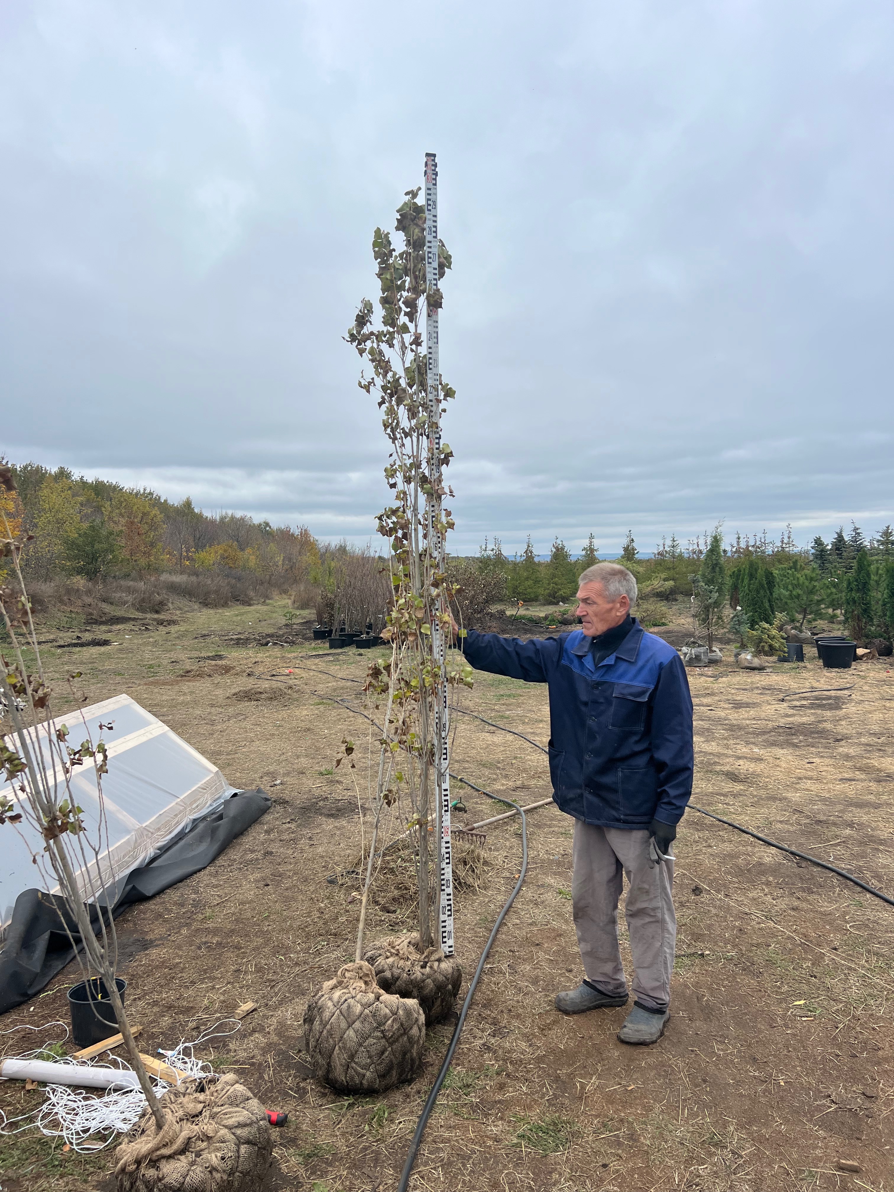 Превью изображения