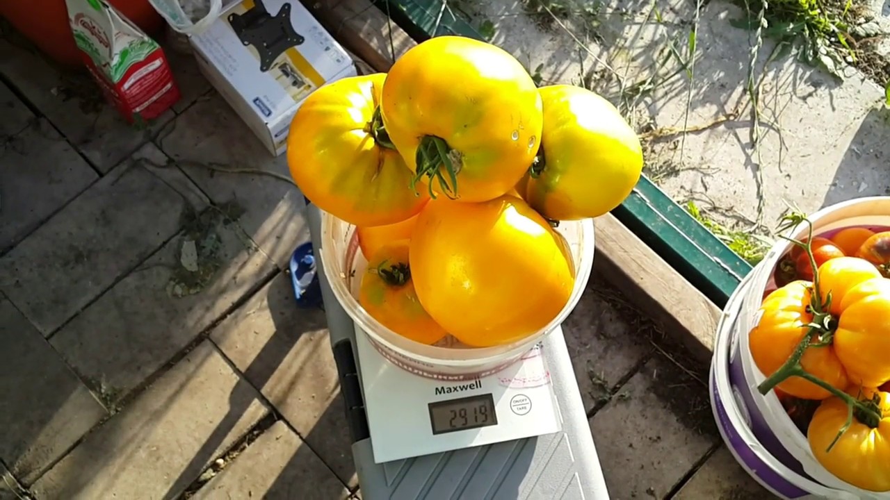 Превью изображения