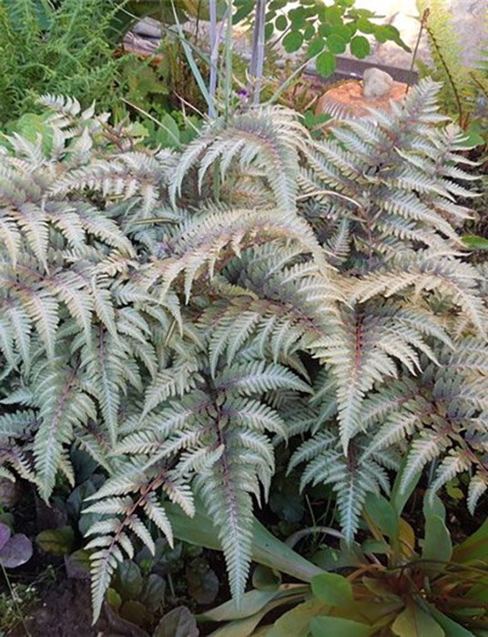 Превью изображения