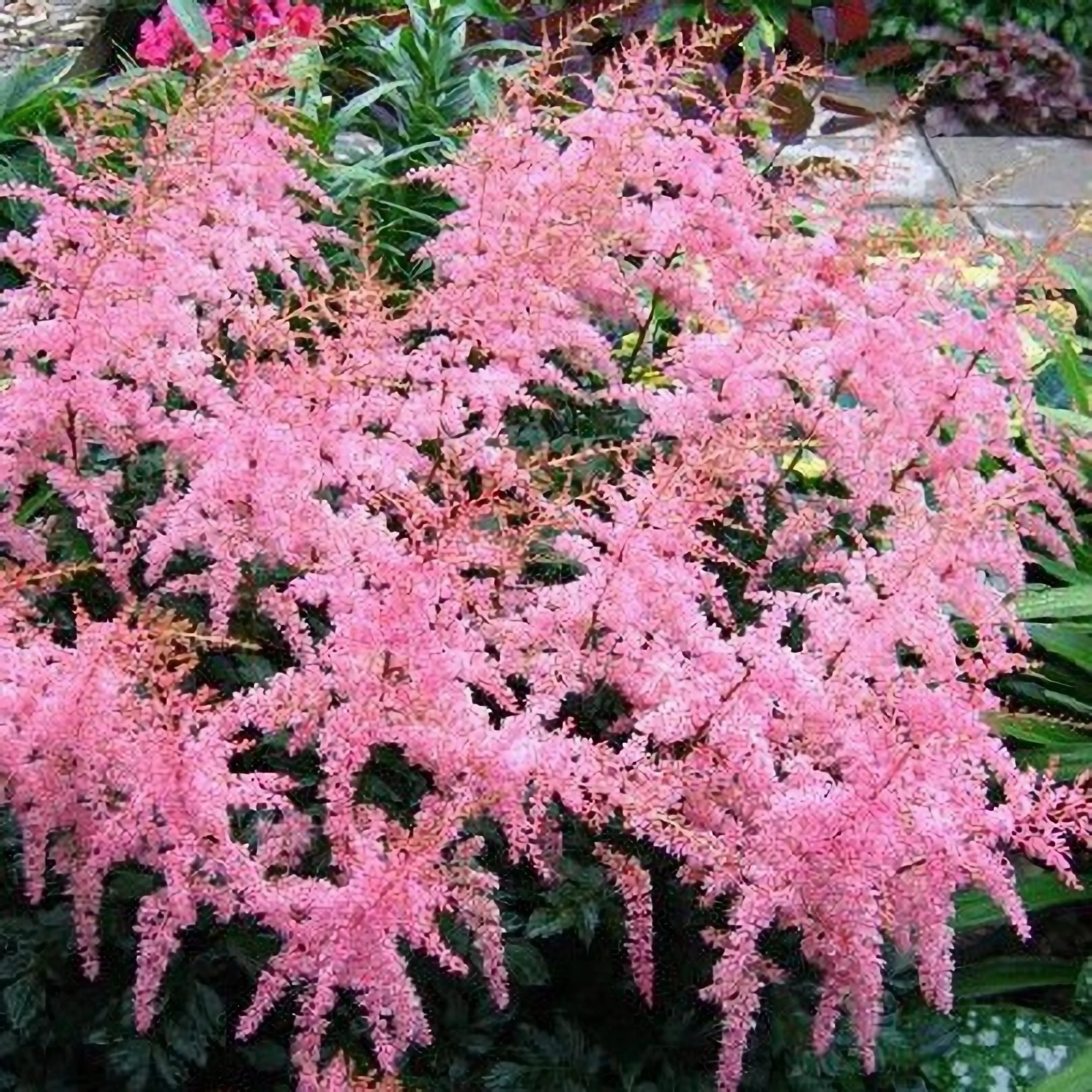 Превью изображения