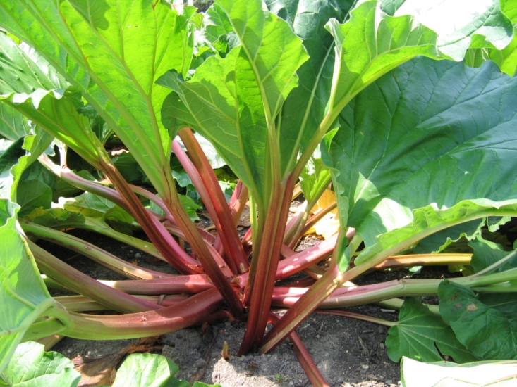 Превью изображения